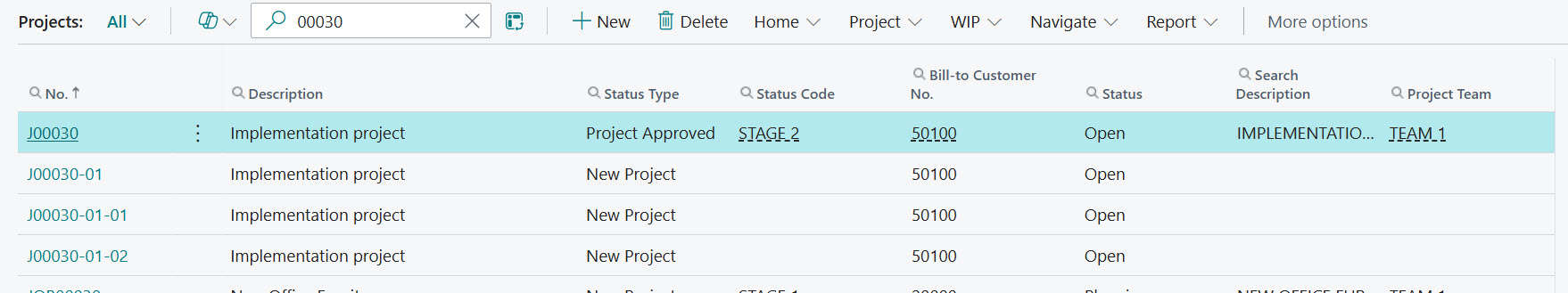 Projects and Subprojects